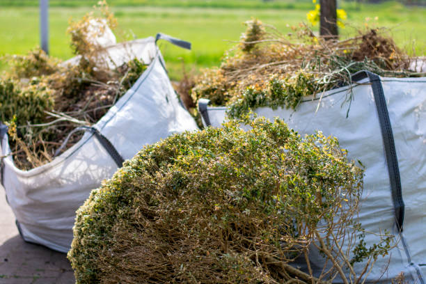 Best Dumpster Rental Services  in Seaside, CA